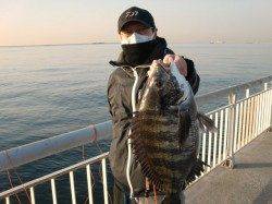 【ハネ・チヌ釣れてます】南芦屋浜リアルタイム