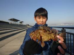  神戸空港ＲＴ、良型ガシラ出ました！