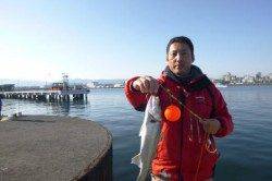 泉佐野食コン　リアルタイム