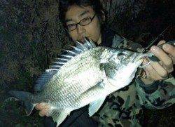 神戸港　チヌゲームに行きましょう！