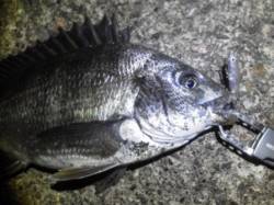 泉南サーフでライトタックルゲーム♪