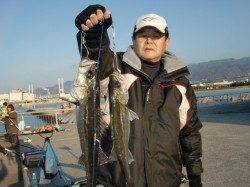 【エビ撒き好調・好釣】南芦屋浜リアルタイム