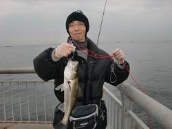 【楽しいエビ撒き】南芦屋浜リアルタイム 