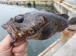 兵突ＲＴ、大型ガシララッシュ始まるか