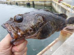 兵突ＲＴ、大型ガシララッシュ始まるか