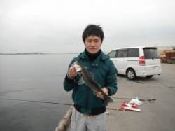 なぎさの港内がいいぞ！泉大津RT　31日･…