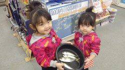 田辺芳養漁港でアジの釣果あり♪