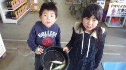 芳養の堤防 サビキでアジ＆イワシの釣果アリ