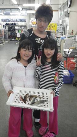 KIDS釣果　芳養堤防で、サビキ釣りと紀州…