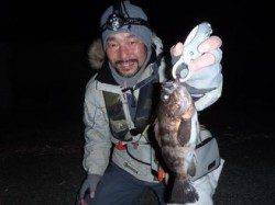 舞洲周辺でのメバリング釣果