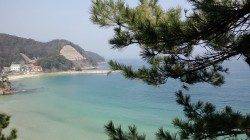 昼の蒲井港でジグヘッドルアーゲーム♪