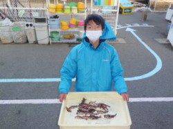 マリーナシティ海釣り公園 サビキでガシラ25尾☆