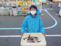 マリーナシティ海釣り公園 サビキでガシラ2…