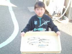 イワシ回遊しています！マリーナシティ海釣り…