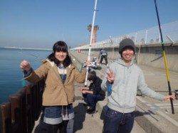 マリーナシティ海釣り公園、イワシ爆釣中！！！！