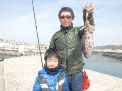 マリーナシティ海釣り公園、エギングでコウイカＧＥＴ！