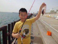 マリーナシティ海釣り公園、胴突きでガシラの☆ＫＩＤＳ釣果☆