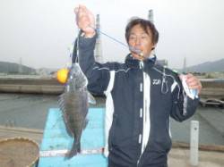 マリーナシティ海釣り公園、紀州釣りでチヌＧ…