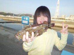 マリーナシティ海釣り公園で27cmのガシラ♪