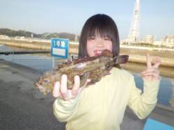 マリーナシティ海釣り公園で27cmのガシラ…