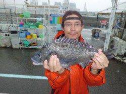 マリーナシティ海釣り公園でチヌ☆47cm☆