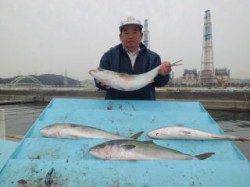 マリーナシティ海上釣り堀でメジロにハマチ！