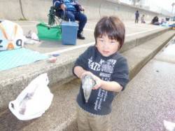 マリーナ海釣り公園、胴突きでガシラ・エギン…