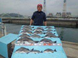 突堤部で紀州釣り、年無し含む17匹、チヌの季節がきたようです♪