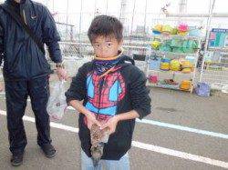 和歌山マリーナシティで初コウイカ！