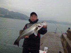 マリーナシティでスズキ66cm、まだまだ釣果伸ばします！