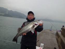 マリーナシティでスズキ66cm、まだまだ釣…