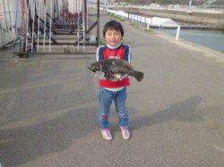 マリーナシティ海洋釣り堀　45cmのヒラメＧＥＴ♪