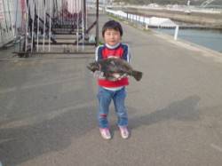 マリーナシティ海洋釣り堀　45cmのヒラメ…