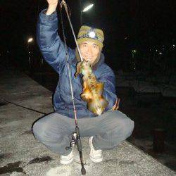 紀伊大島 エギングで納得サイズのアオリイカ1パイ☆