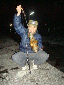 紀伊大島 エギングで納得サイズのアオリイカ1パイ☆