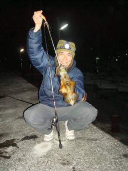 紀伊大島 エギングで納得サイズのアオリイカ…