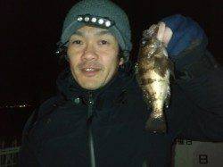 泉佐野 メバリングでメバル22cmゲット