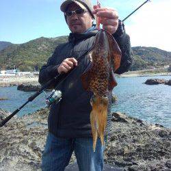 すさみエリア地磯でエギング、昼前にアオリGET！