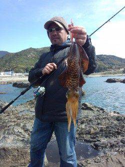 すさみエリア地磯でエギング、昼前にアオリGET！