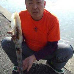 すさみ港でエギング、アオリ4杯ＧＥＴ！