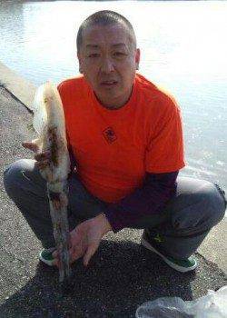 すさみ港でエギング、アオリ4杯ＧＥＴ！