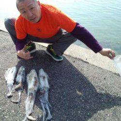 すさみ港でエギング、アオリ4杯ＧＥＴ！