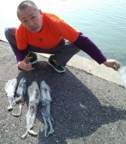 すさみ港でエギング、アオリ4杯ＧＥＴ！