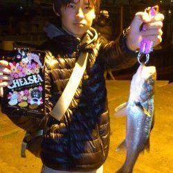 舞洲でシーバス、雨の日のヒットカラーはホワイトでした。