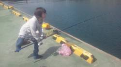 田ノ浦でファミリーフィッシング〜イワシが回…