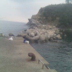 田ノ浦漁港で根魚釣り、大漁です♪