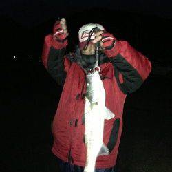 和田 強風の中でもルアーでシーバス3本キャッチ