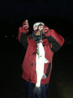 和田 強風の中でもルアーでシーバス3本キャッチ