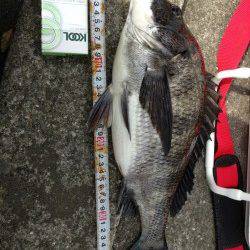 南港エビ撒き釣行、少し潮が早く忙しい釣りでした