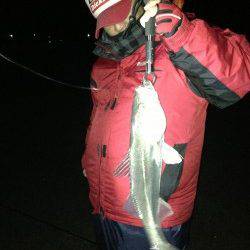 和田 強風の中でもルアーでシーバス3本キャッチ